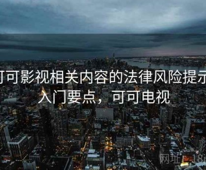 可可影视相关内容的法律风险提示：入门要点，可可电视