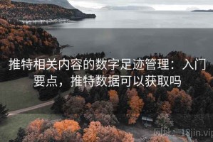 推特相关内容的数字足迹管理：入门要点，推特数据可以获取吗
