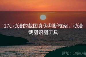 17c 动漫的截图真伪判断框架，动漫截图识图工具
