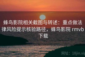 蜂鸟影院相关截图与转述：重点做法律风险提示核验路径，蜂鸟影院 rmvb 下载