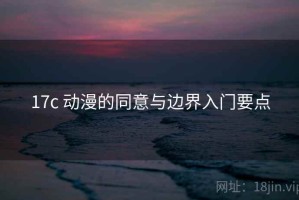 17c 动漫的同意与边界入门要点