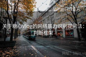 关于糖心Vlog的网络暴力识别提问法：判断框架
