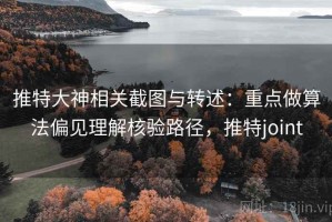 推特大神相关截图与转述：重点做算法偏见理解核验路径，推特joint