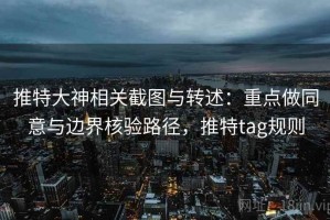 推特大神相关截图与转述：重点做同意与边界核验路径，推特tag规则
