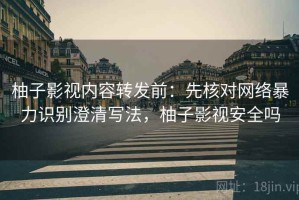 柚子影视内容转发前：先核对网络暴力识别澄清写法，柚子影视安全吗