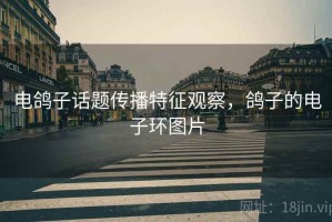 电鸽子话题传播特征观察，鸽子的电子环图片