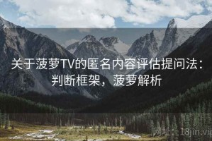 关于菠萝TV的匿名内容评估提问法：判断框架，菠萝解析