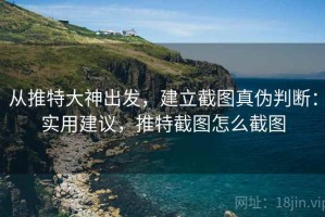 从推特大神出发，建立截图真伪判断：实用建议，推特截图怎么截图