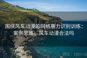 围绕风车动漫的网络暴力识别训练：案例思路，风车动漫合法吗