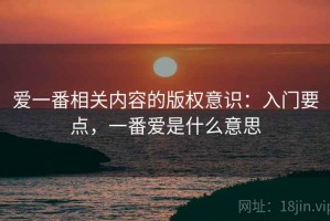 爱一番相关内容的版权意识：入门要点，一番爱是什么意思