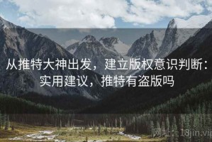 从推特大神出发，建立版权意识判断：实用建议，推特有盗版吗