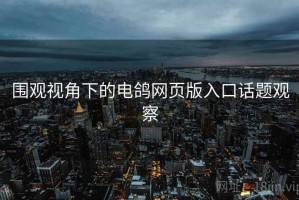 围观视角下的电鸽网页版入口话题观察
