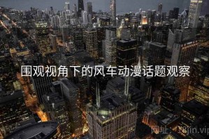 围观视角下的风车动漫话题观察