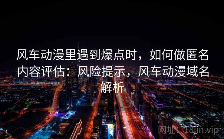 风车动漫里遇到爆点时，如何做匿名内容评估：风险提示，风车动漫域名解析
