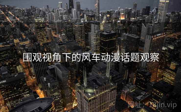 围观视角下的风车动漫话题观察