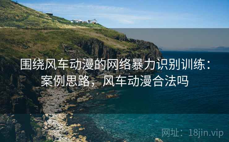 围绕风车动漫的网络暴力识别训练：案例思路，风车动漫合法吗