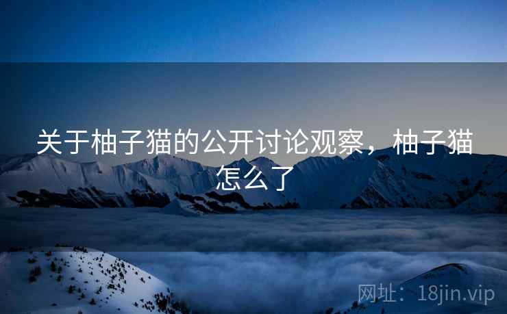关于柚子猫的公开讨论观察，柚子猫怎么了