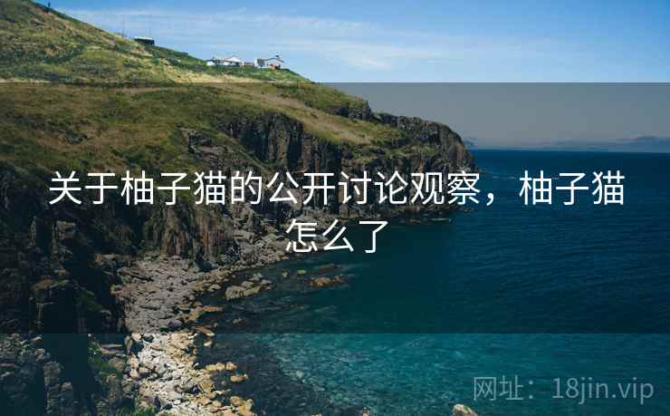 关于柚子猫的公开讨论观察，柚子猫怎么了