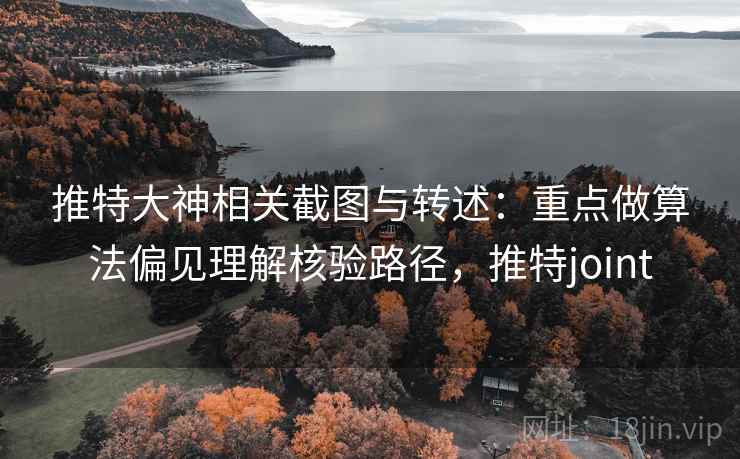 推特大神相关截图与转述：重点做算法偏见理解核验路径，推特joint