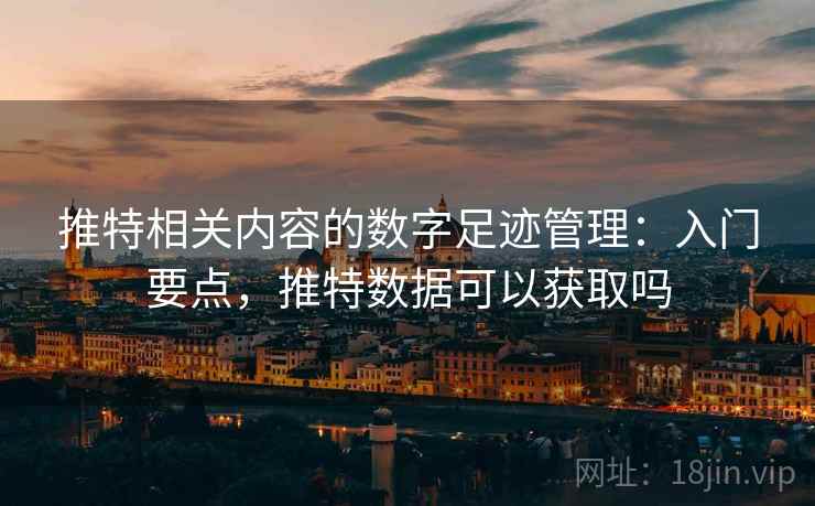 推特相关内容的数字足迹管理：入门要点，推特数据可以获取吗